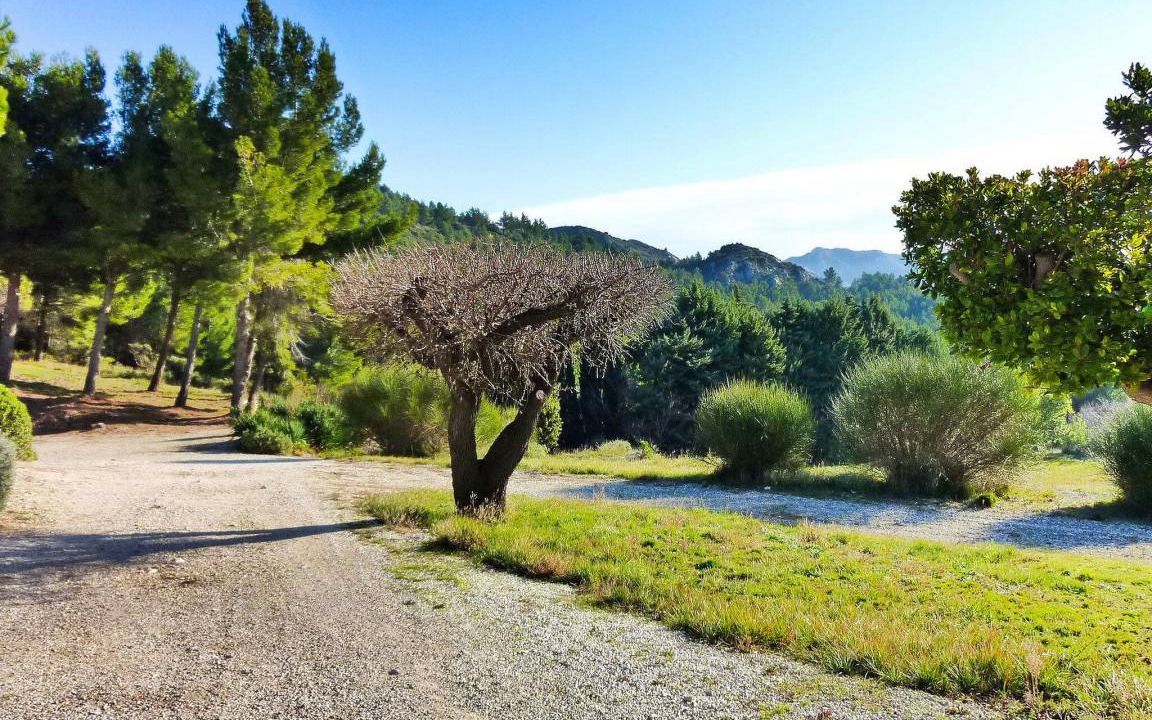 Photo of Outdoor in Les Baux-de-Provence