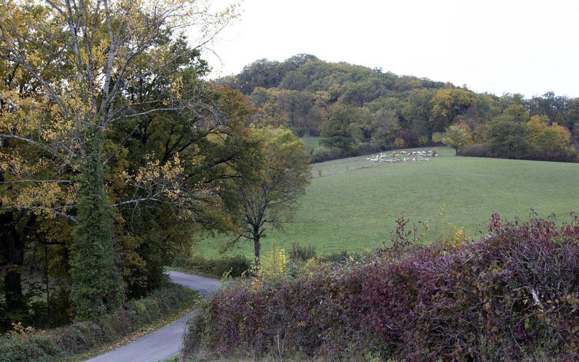 Photo of Others in Rocamadour
