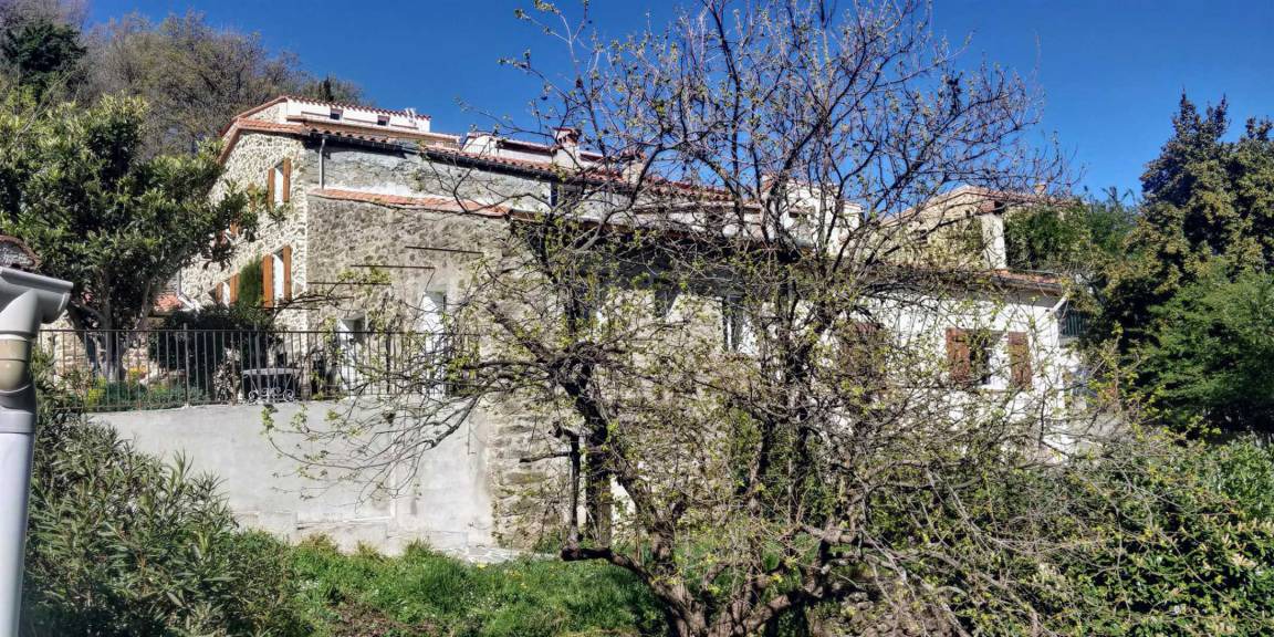 Photo of Others in Taulis