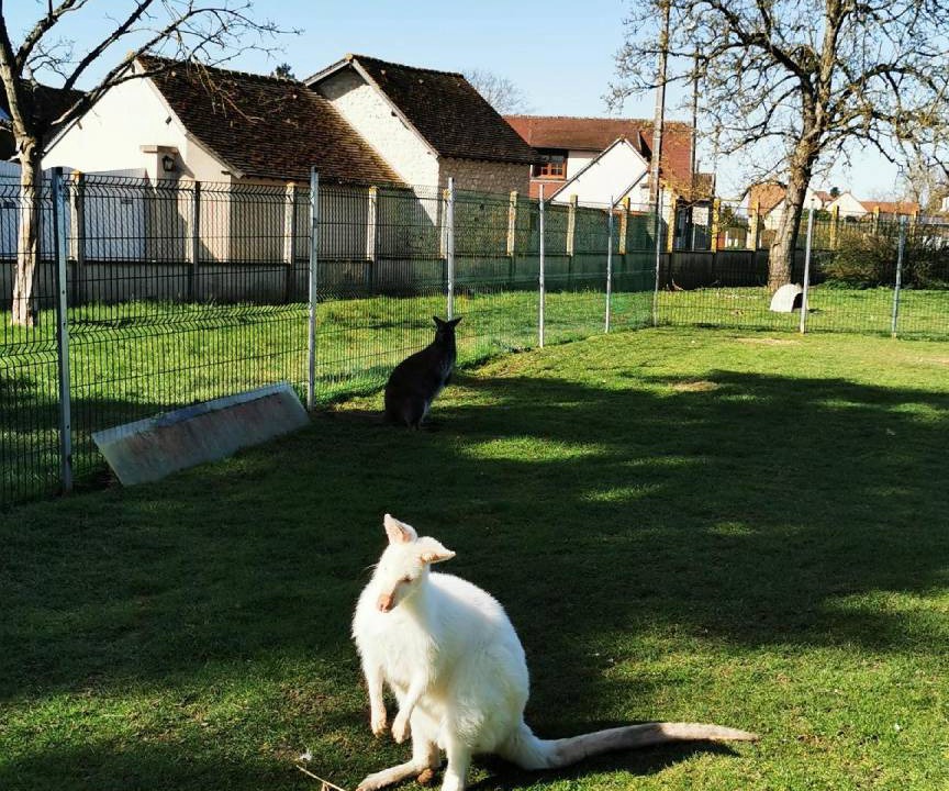 Photo of Others in Bois-Jerome-Saint-Ouen
