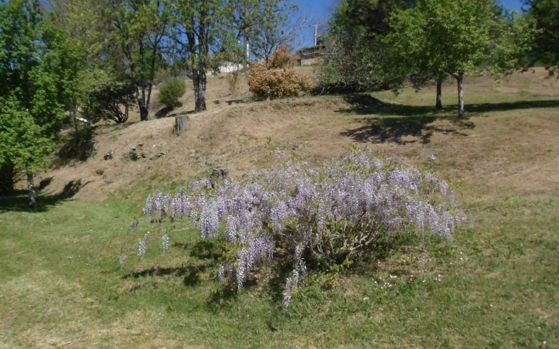 Photo of Others in Villefranche-du-Perigord