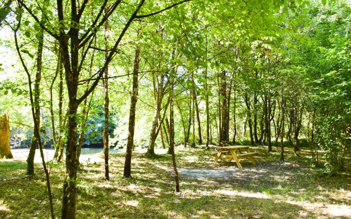 Photo of Others in Lacave