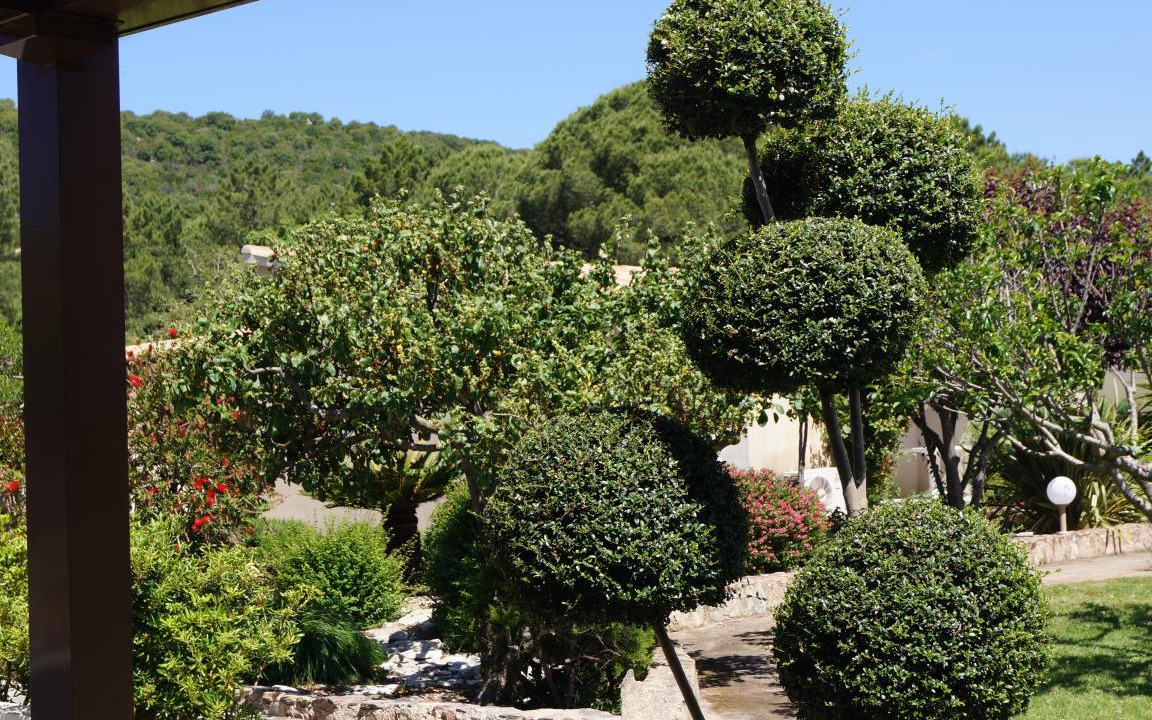 Photo of Others in Santa Giulia