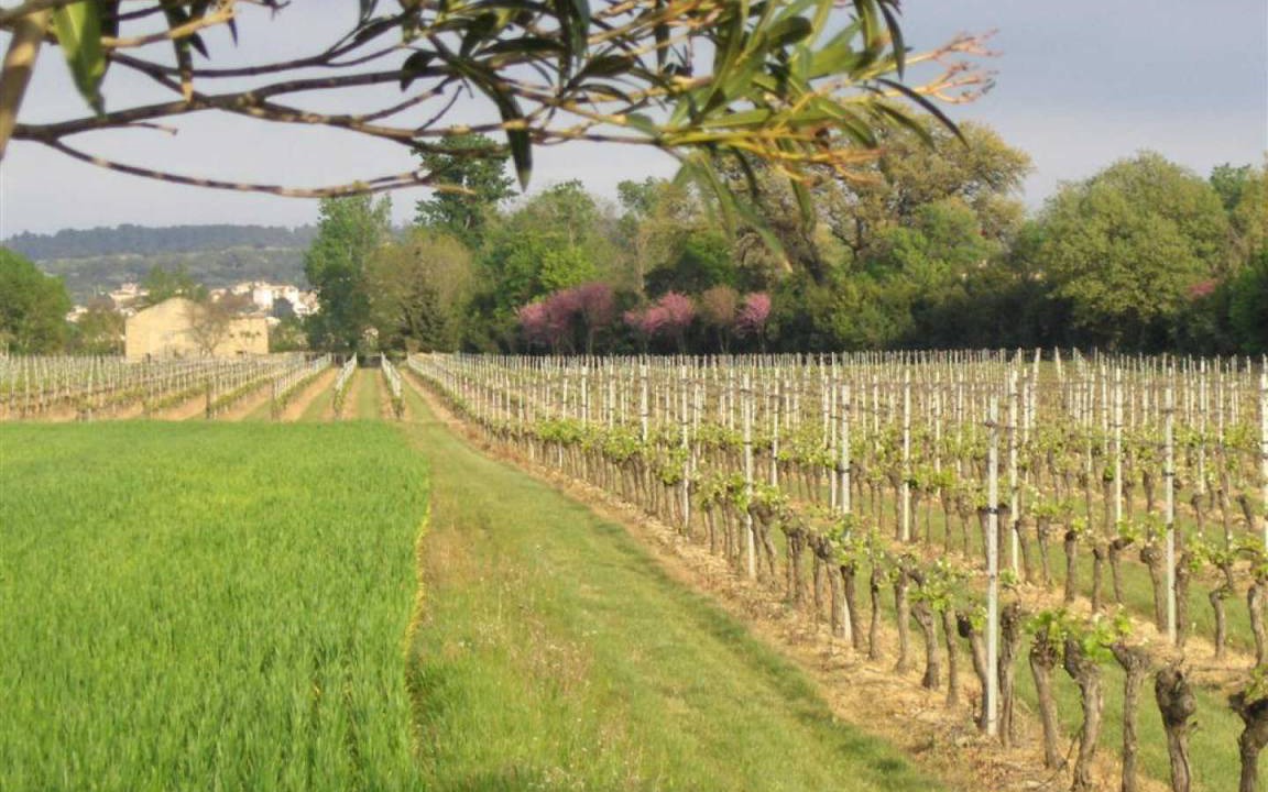 Photo of Others in Raissac-d'Aude