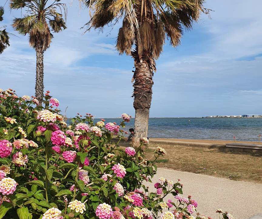 Photo of Others in Gruissan