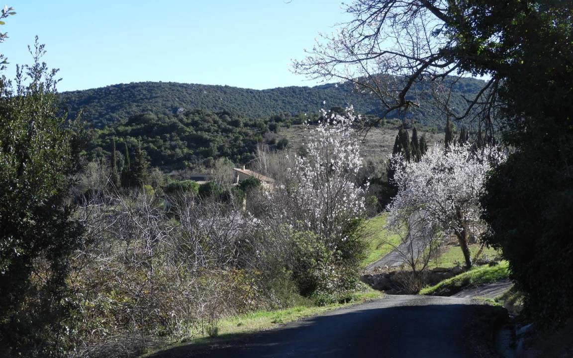 Photo of Others in Montgaillard