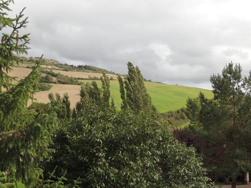 Photo of Others in Clemensat