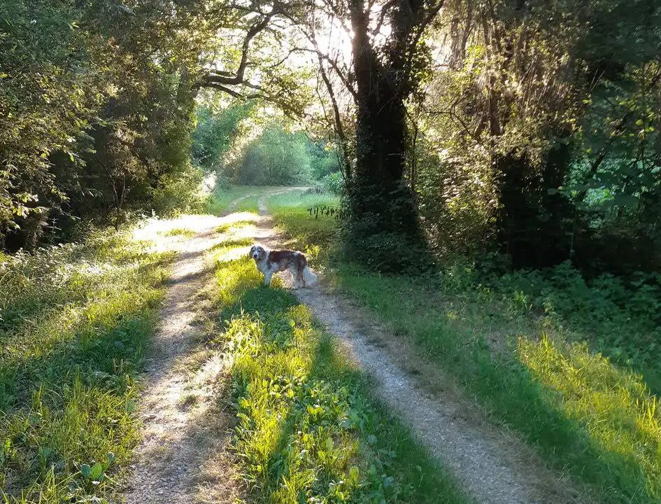 Photo of Others in Montcabrier