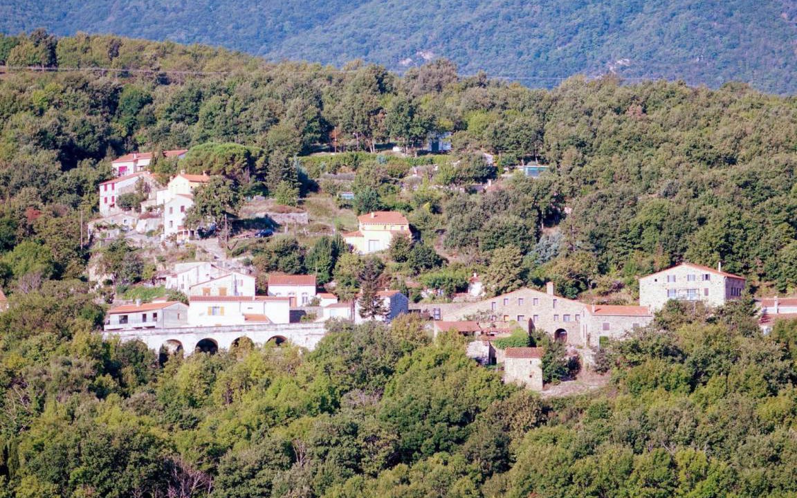 Photo of Others in Taulis