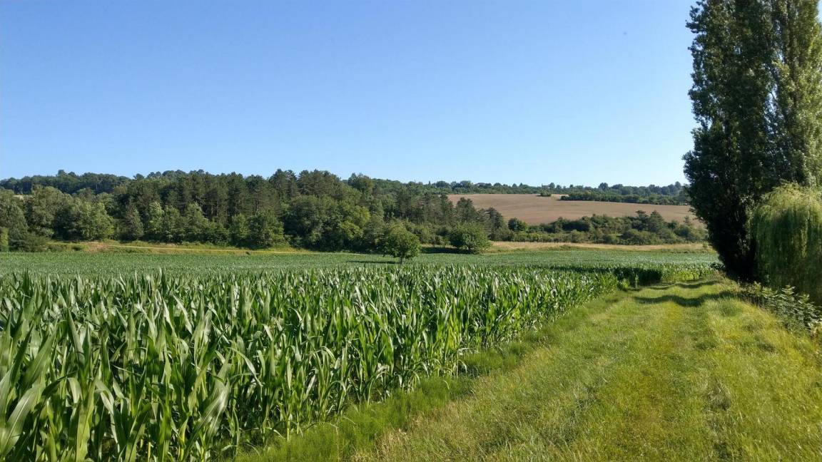 Photo of Others in Saint-Martin-le-Redon