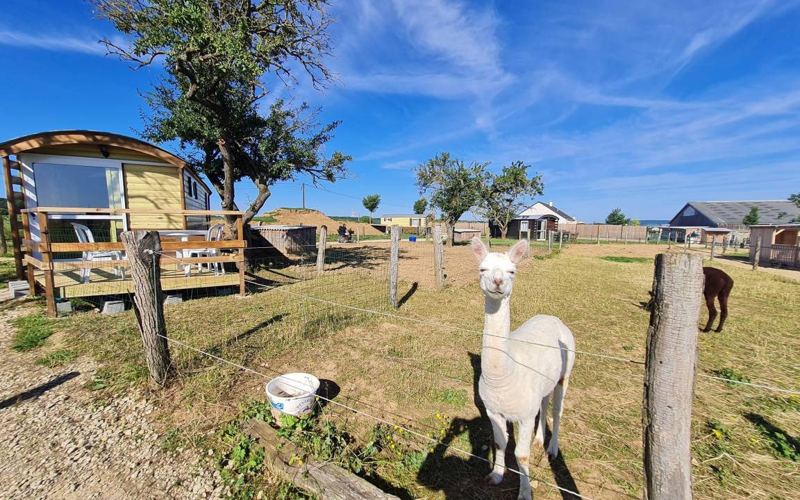Photo of Others in Burthecourt-aux-Chenes
