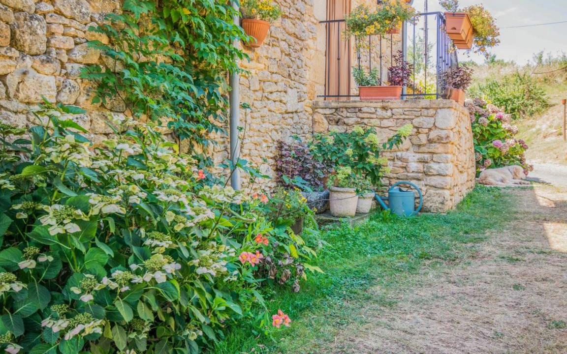 Photo of Others in Montcabrier