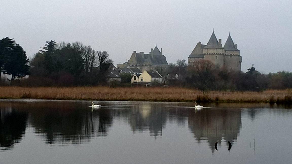 Photo of Others in Sarzeau