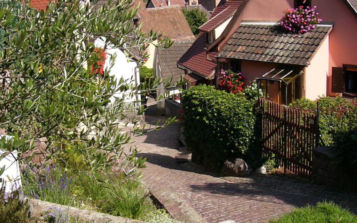 Photo of Others in Gueberschwihr