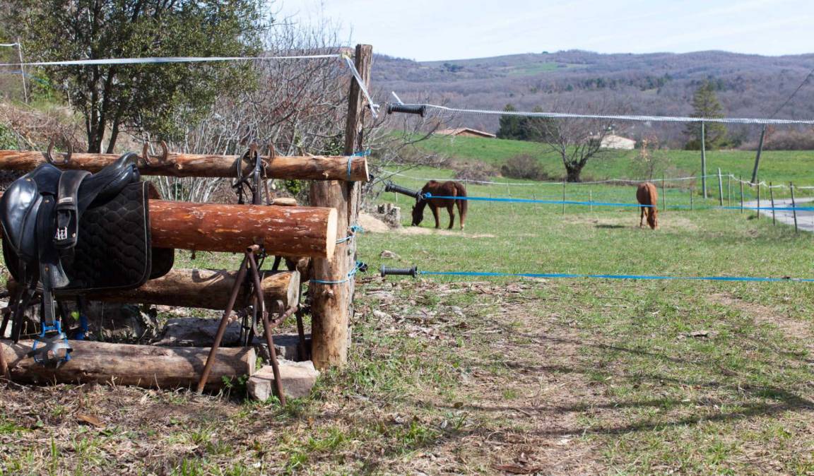 Photo of Others in Brenac