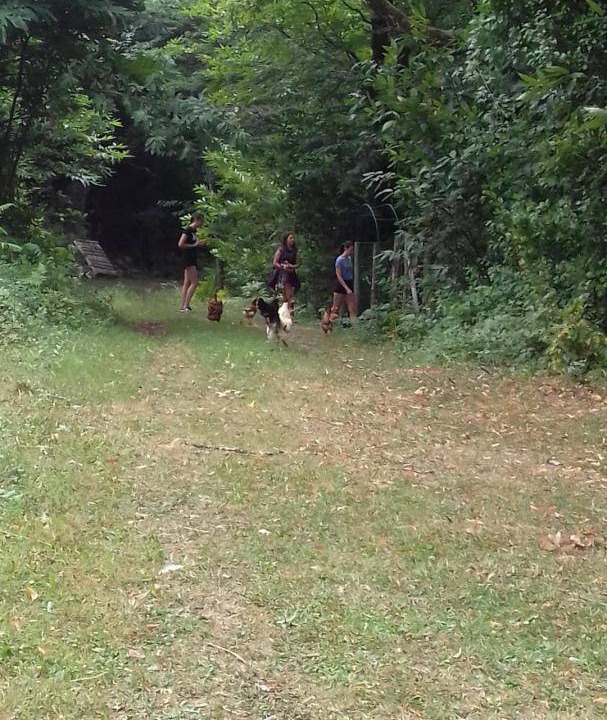 Photo of Others in Saint-Vincent-le-Paluel