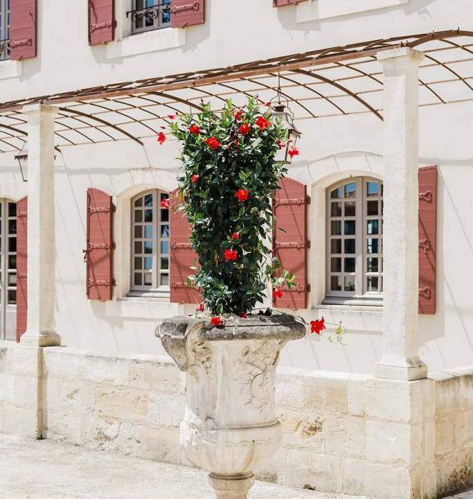 Photo of Others in Arles