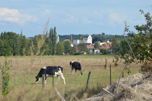 Photo of Buildings in Kindwiller