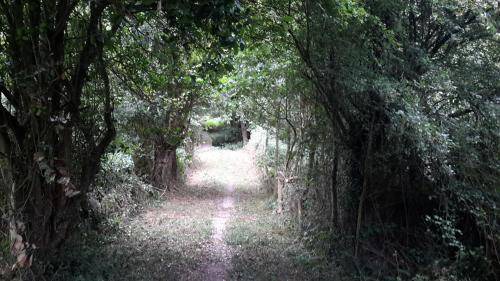 Photo of Others in Saint-Martin-Saint-Firmin