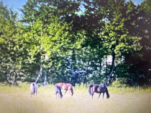 Photo of Outdoor in Bazincourt-sur-Epte