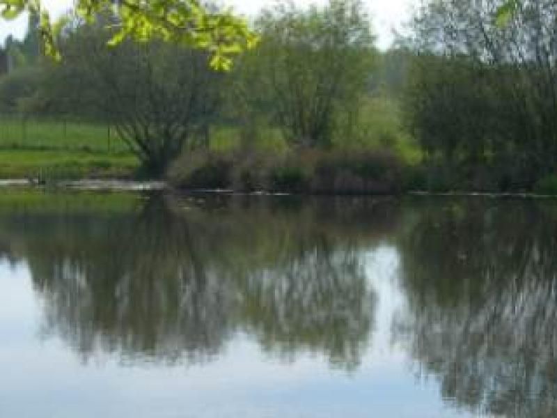 Photo of Outdoor in Cour-Cheverny
