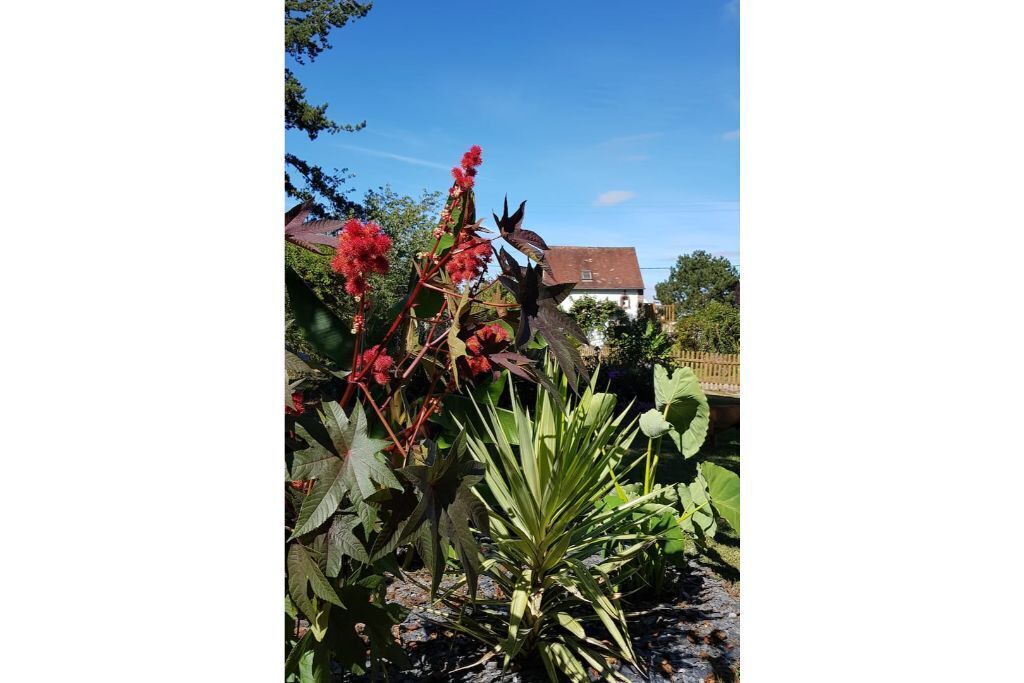 Photo of Outdoor in Marcilly-sur-Eure