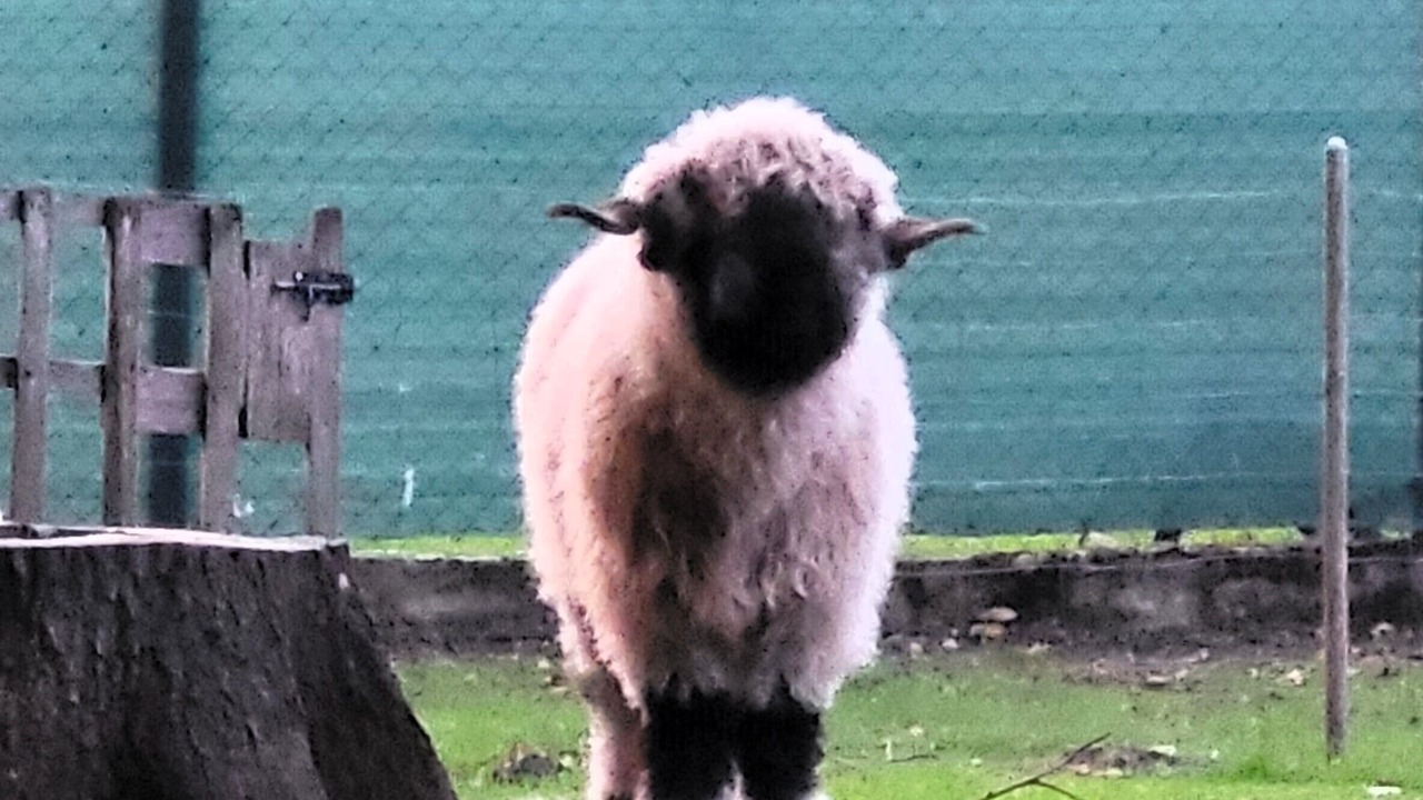 Photo of Others in Marcilly-sur-Eure