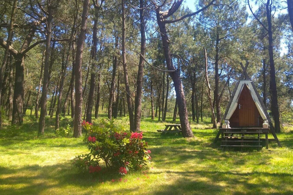 Photo of Outdoor in Plomodiern