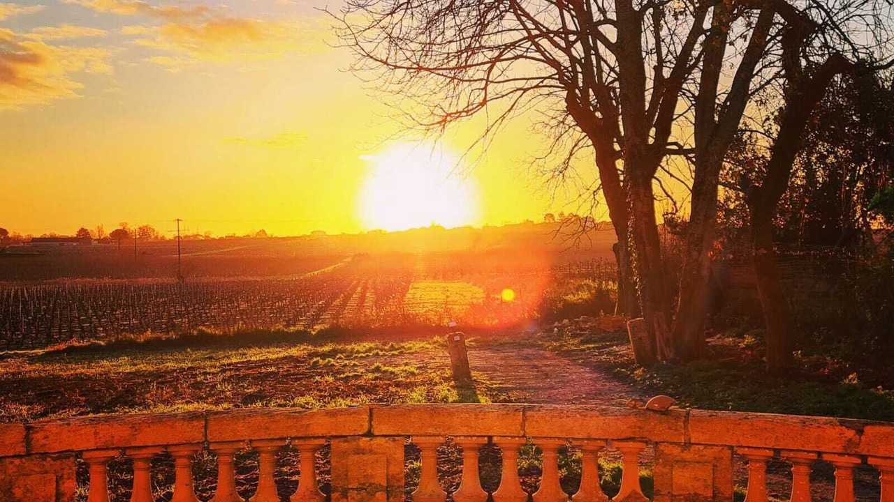 Photo of Outdoor in Bayon-sur-Gironde