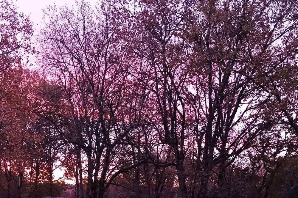 Photo of Outdoor in Saint-Aubin-de-Nabirat