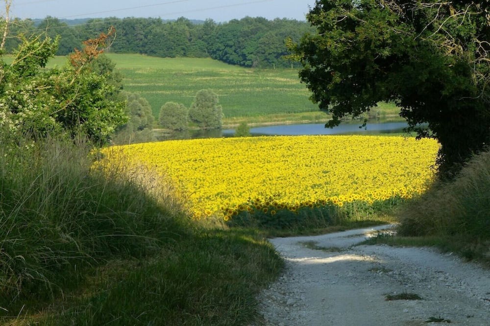 Photo of Others in Saint-Romain
