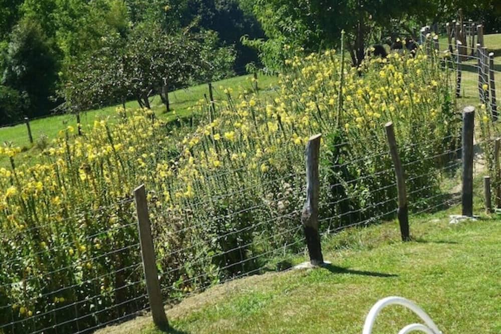 Photo of Outdoor in Saint-Romain