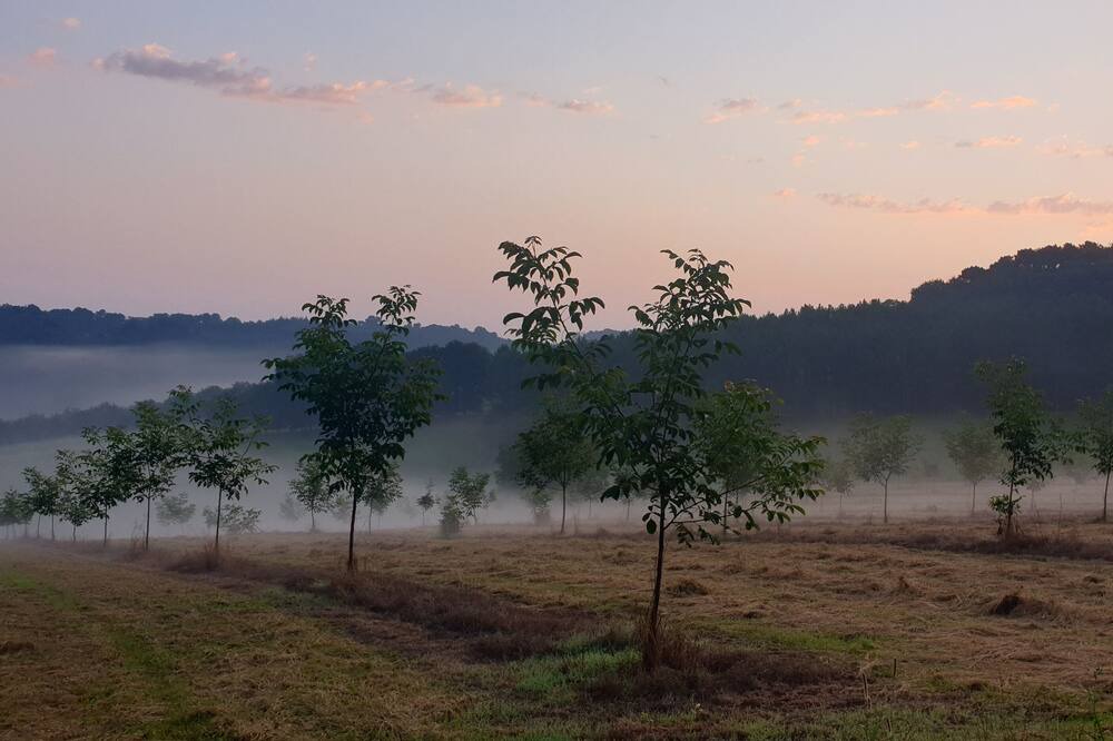 Photo of Outdoor in Doissat