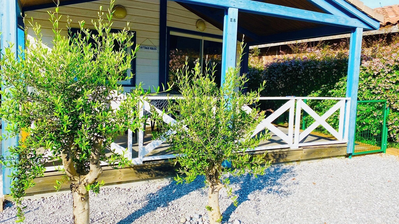 Photo of Outdoor in Bias