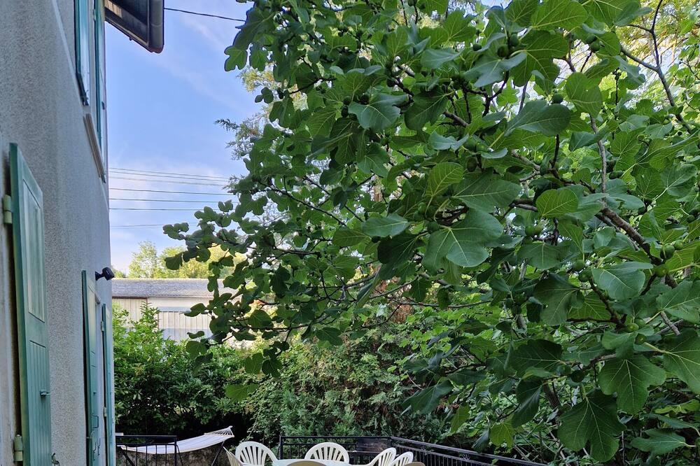 Photo of Outdoor in Alboussiere