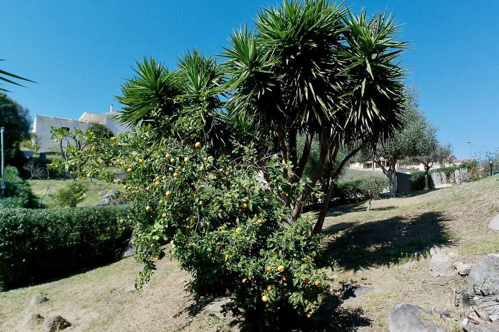 Photo of Outdoor in Casaglione