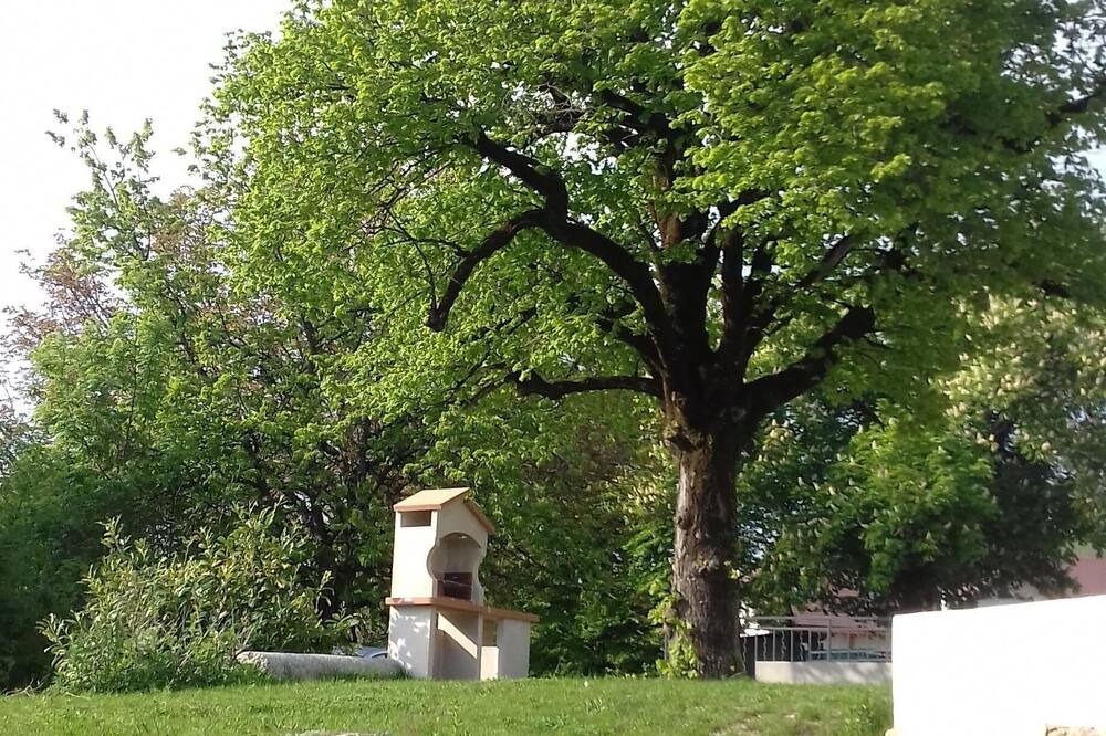 Photo of Outdoor in Copponex