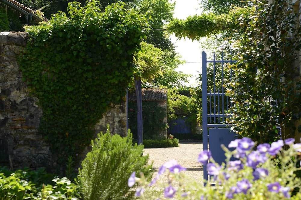 Photo of Outdoor in Saint Palais