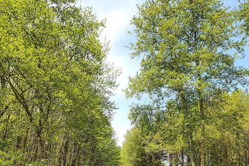 Photo of Outdoor in Saint-Estephe