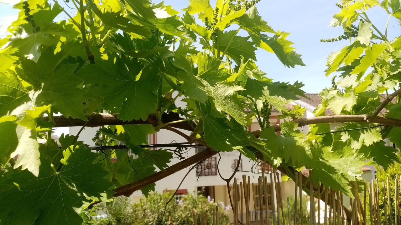 Photo of Outdoor in Cote Pavee
