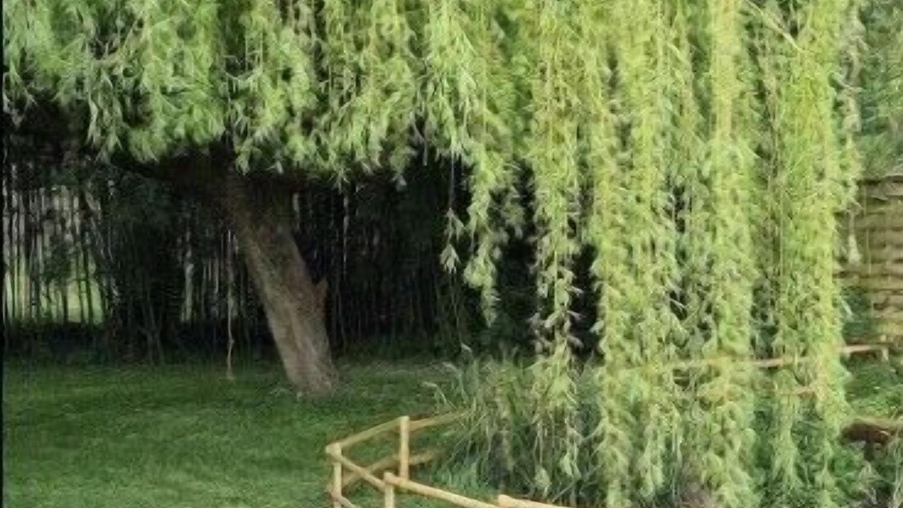 Photo of Outdoor in Les Herbiers