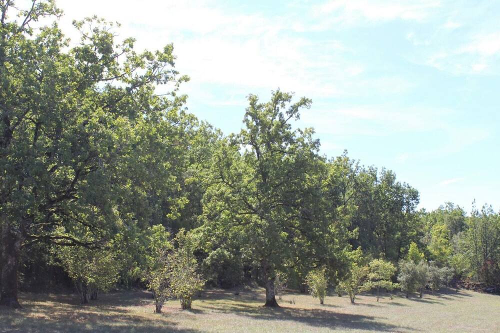 Photo of Outdoor in Borreze
