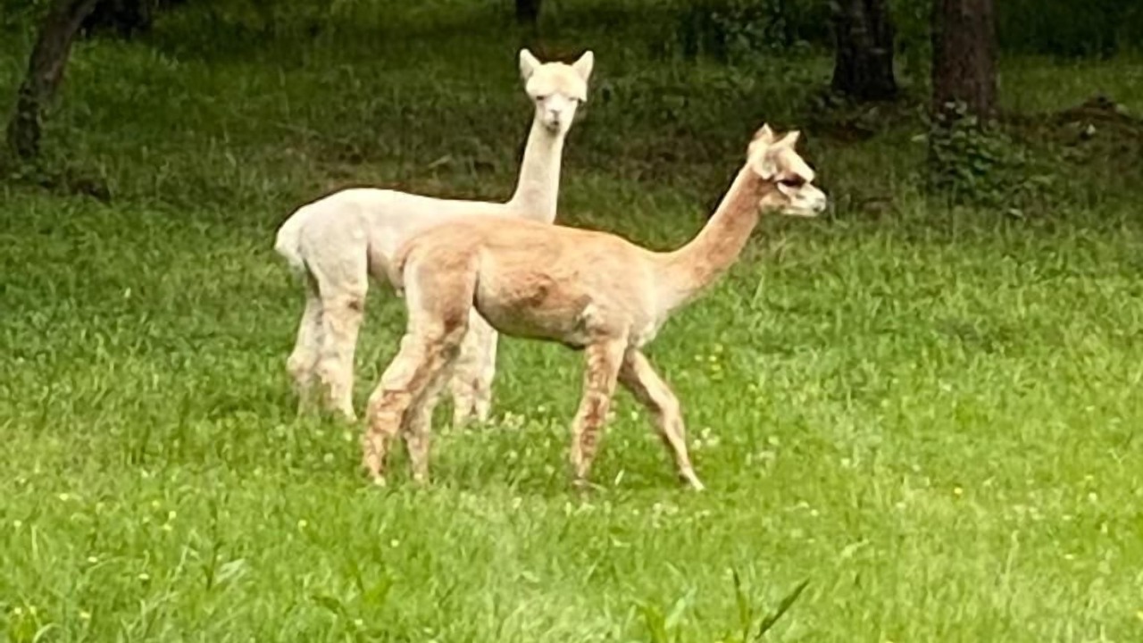 Photo of Outdoor in Combree