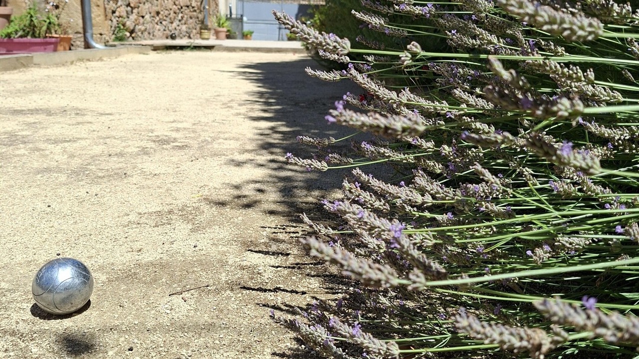 Photo of Outdoor in Neffies