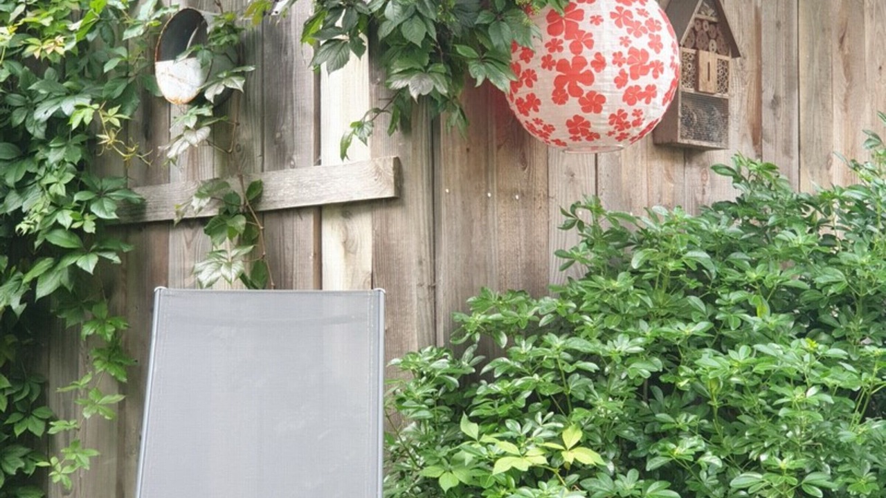 Photo of Outdoor in Vigny