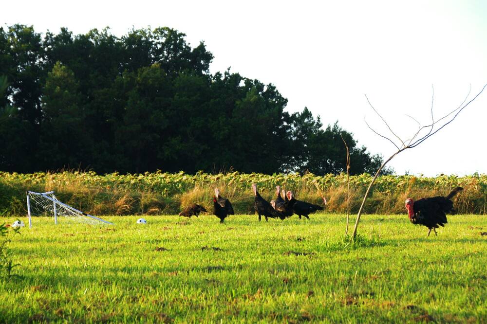 Photo of Outdoor in Bonnut