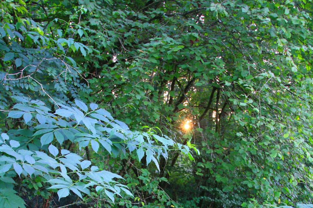 Photo of Outdoor in Bonnut