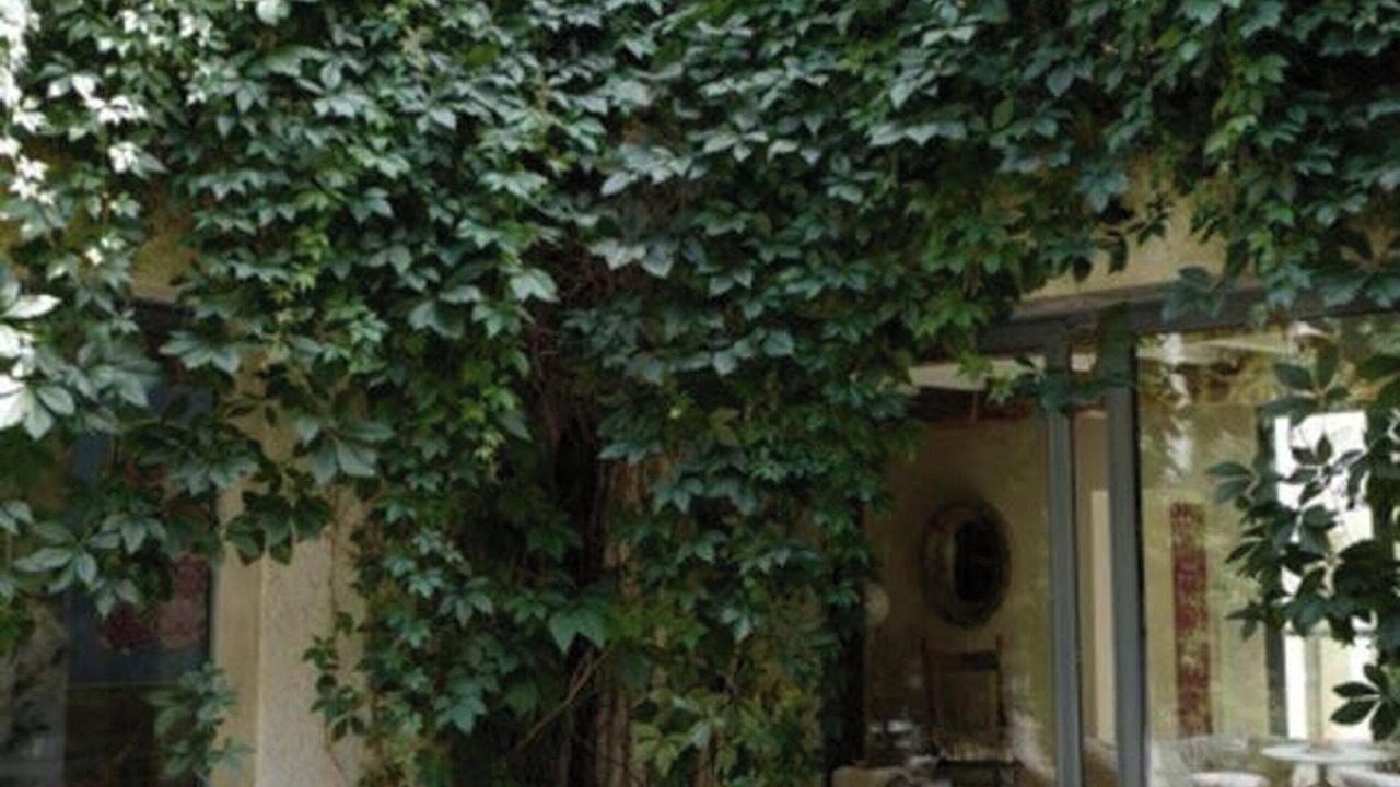 Photo of Outdoor in Pouzols-Minervois
