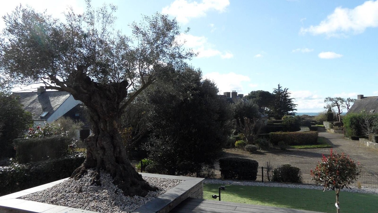 Photo of Outdoor in Arzon