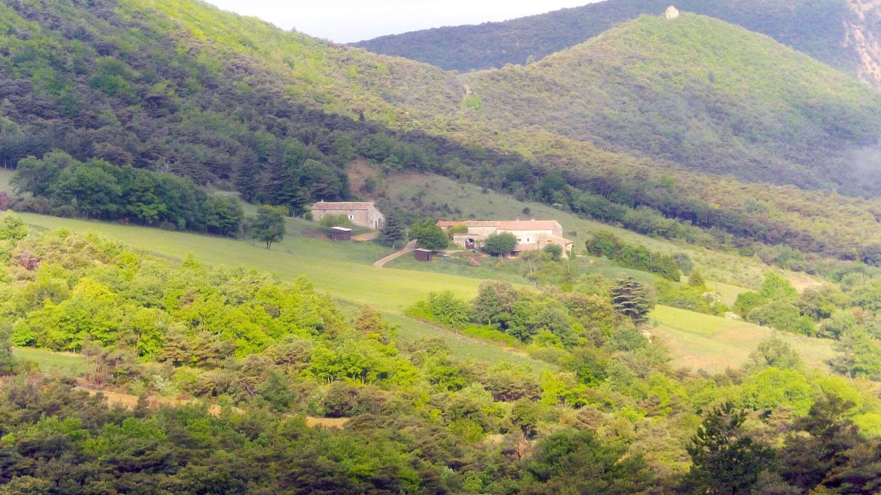 Photo of Others in Roche-Saint-Secret